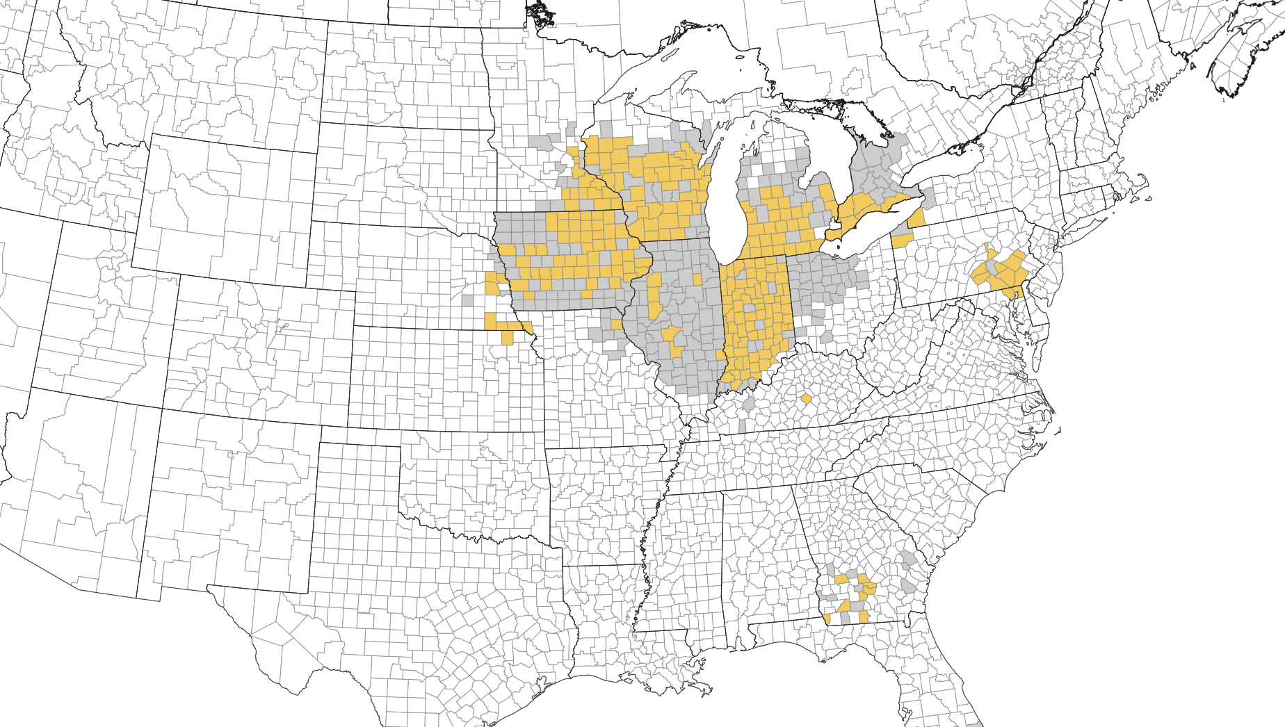 Is it Too Late to Control Tar Spot Now Spreading in Your Fields? Purdue